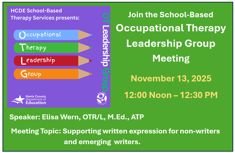 November 13, 2025 Occupational Therapy Leadership Group Meeting